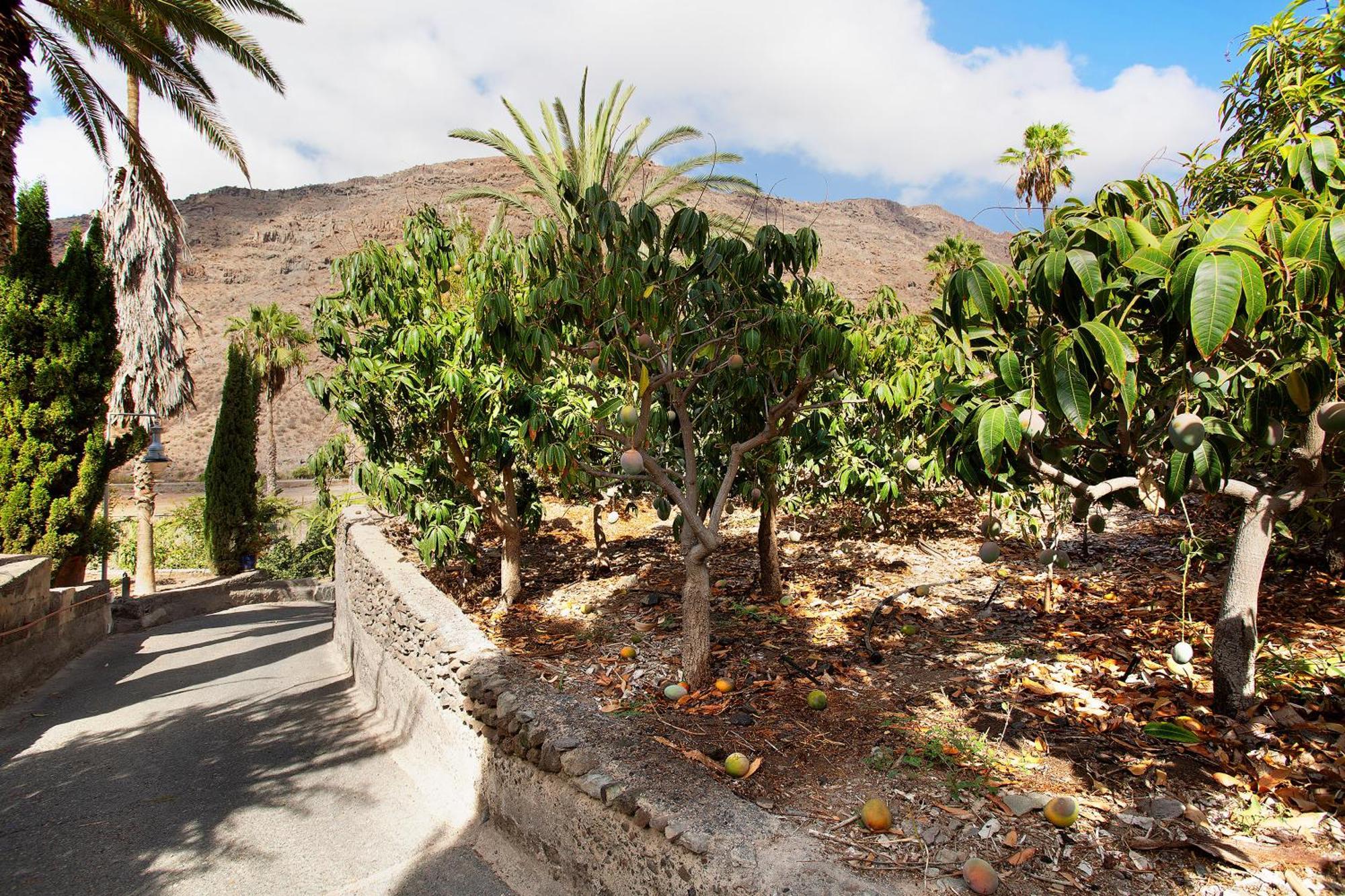 El Granero Paraiso Del Molinero Mogán Esterno foto